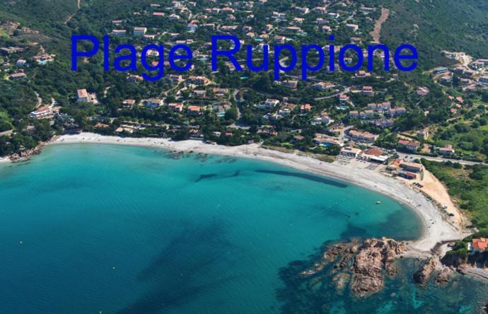 Vue Mer Panoramique Plage 50M Porticcio Corse Екстер'єр фото