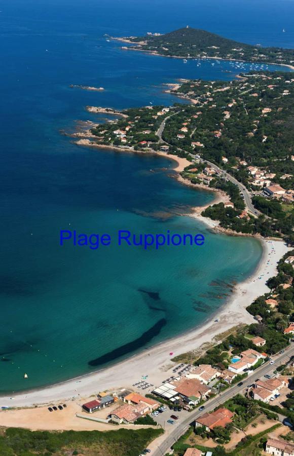 Vue Mer Panoramique Plage 50M Porticcio Corse Екстер'єр фото